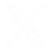 x icon